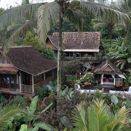 Niente Bali Villa Penebel ภายนอก รูปภาพ