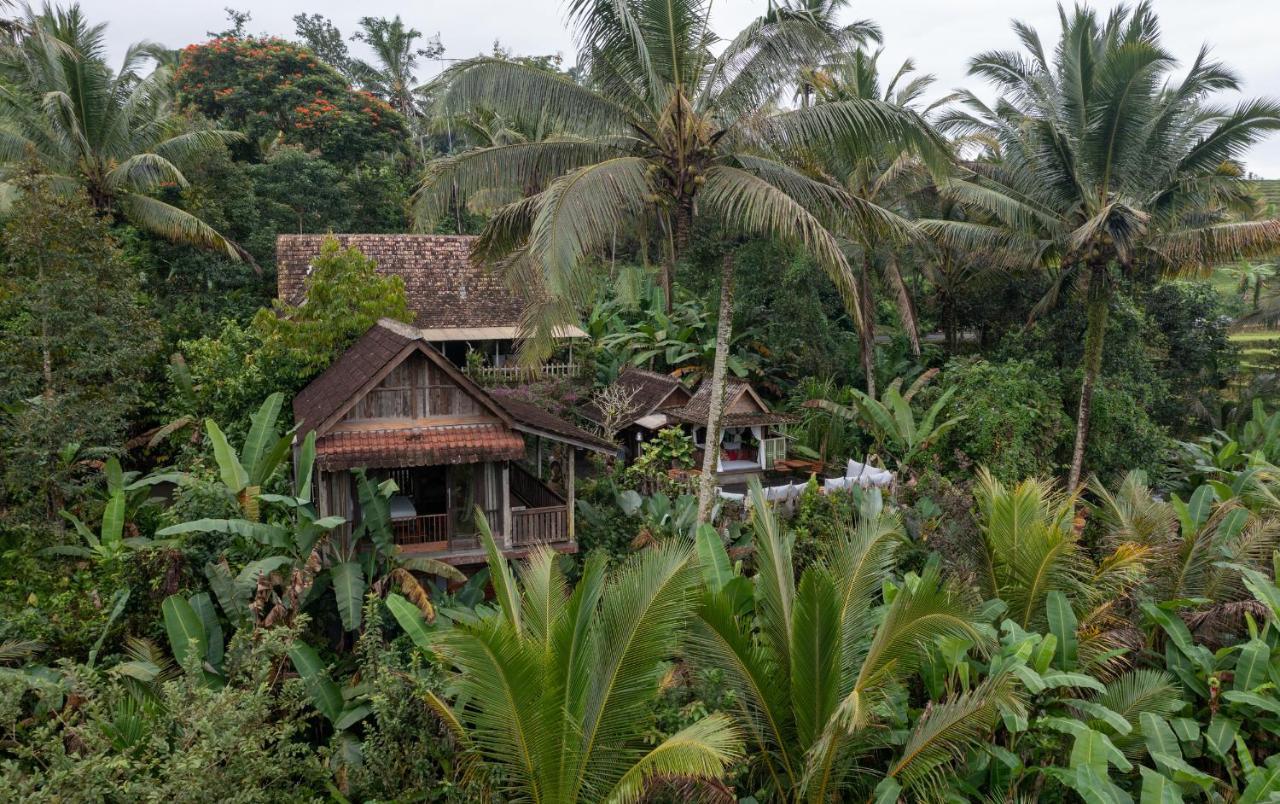 Niente Bali Villa Penebel ภายนอก รูปภาพ