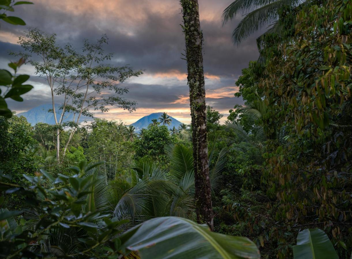 Niente Bali Villa Penebel ภายนอก รูปภาพ